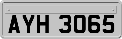 AYH3065