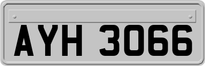 AYH3066