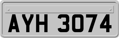 AYH3074