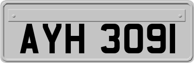 AYH3091