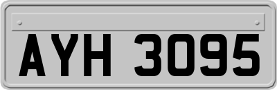 AYH3095