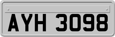 AYH3098