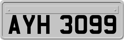 AYH3099