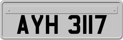 AYH3117