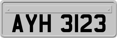 AYH3123
