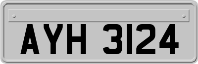 AYH3124