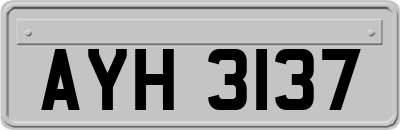 AYH3137