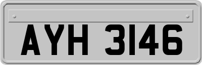 AYH3146