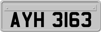 AYH3163
