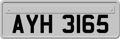 AYH3165