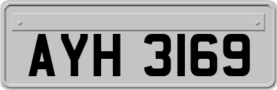 AYH3169