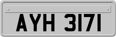 AYH3171