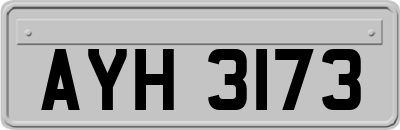 AYH3173