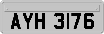 AYH3176
