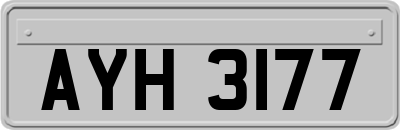 AYH3177
