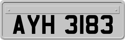 AYH3183