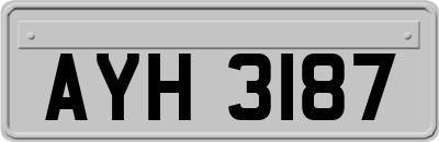 AYH3187