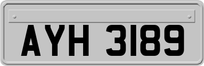 AYH3189