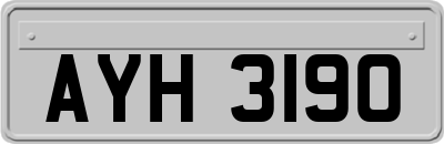 AYH3190