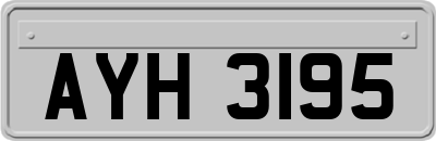 AYH3195
