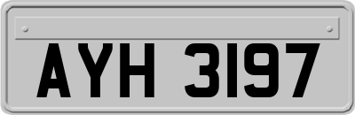 AYH3197