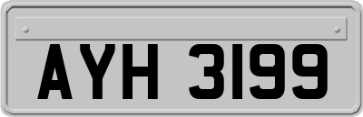 AYH3199