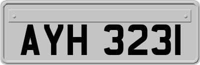 AYH3231