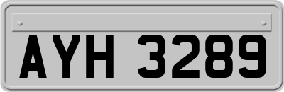 AYH3289