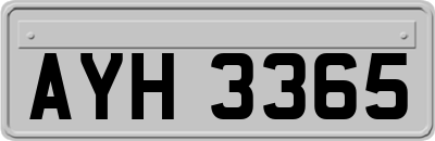 AYH3365