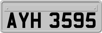 AYH3595