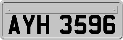 AYH3596