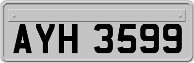 AYH3599