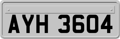 AYH3604
