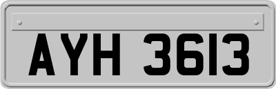 AYH3613