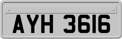 AYH3616