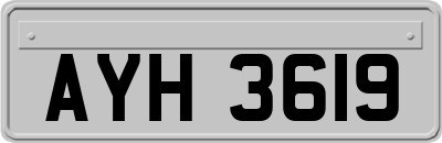 AYH3619