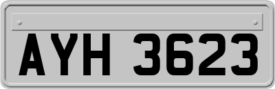 AYH3623