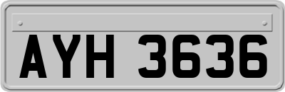 AYH3636