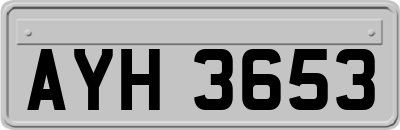 AYH3653