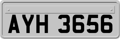 AYH3656