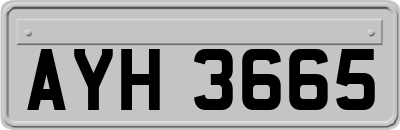 AYH3665