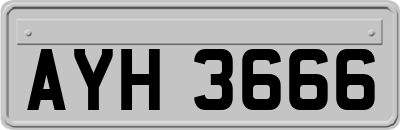 AYH3666