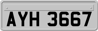 AYH3667