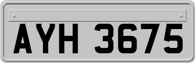 AYH3675