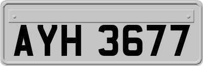 AYH3677