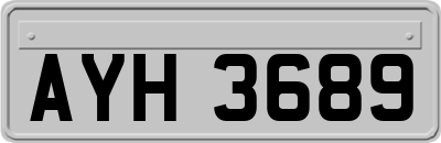 AYH3689