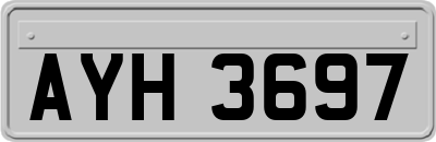 AYH3697