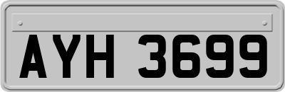AYH3699