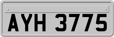 AYH3775