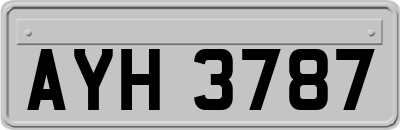 AYH3787
